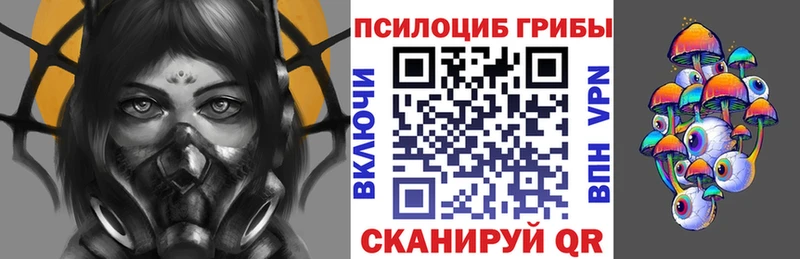 Псилоцибиновые грибы Psilocybine cubensis Химки
